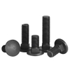 Carriage Bolt